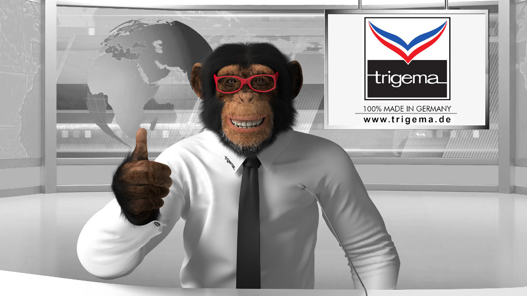 animation the 3D chimpanzee model and of TRIGEMA Creation the of