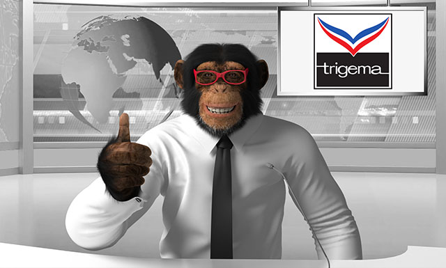TRIGEMA chimpanzee