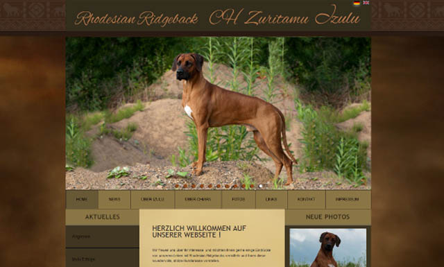 CMS Website Rhodesian Ridgeback