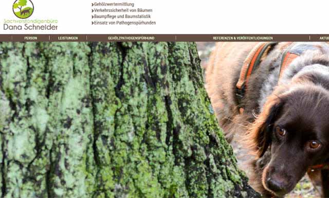 Responsive CMS Website for a pathogen detection dog