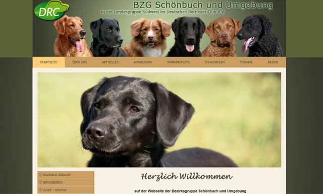 Responsive CMS Website for the DRC Dog Club
