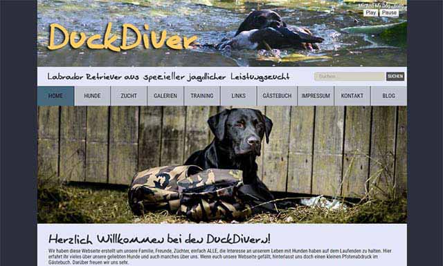 Responsive CMS Website DuckDiver