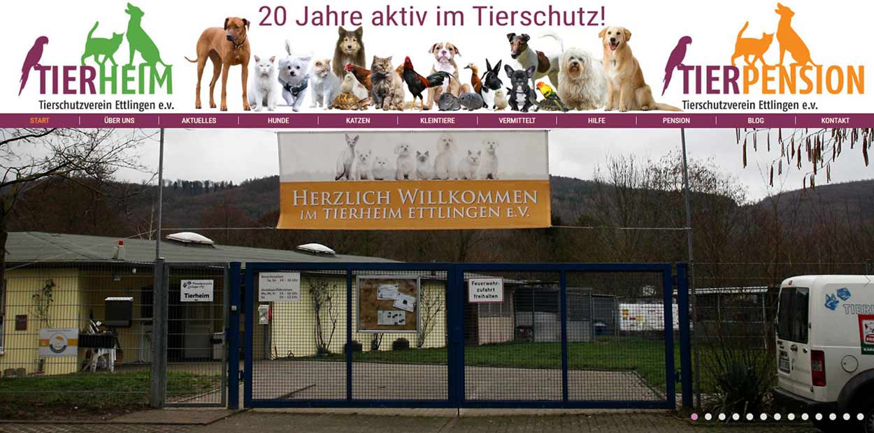 CMS-Webseite Tierschutzverein Ettlingen