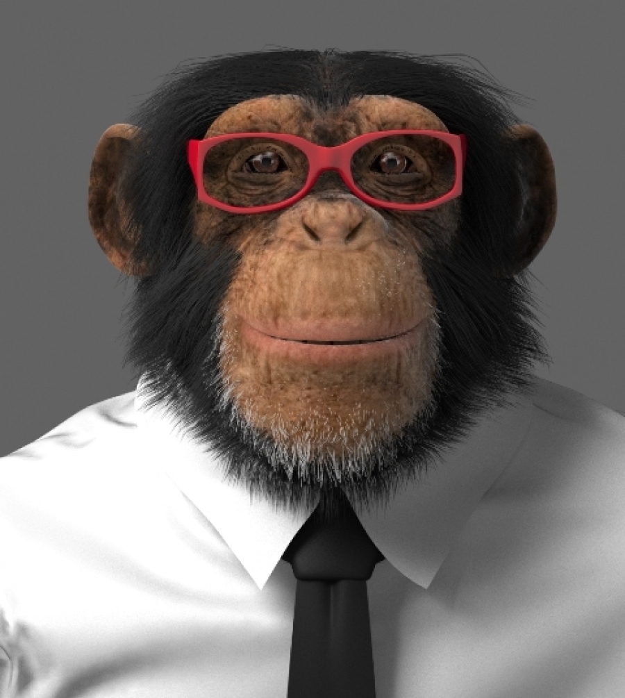 Creation of the 3D model and animation of the TRIGEMA chimpanzee