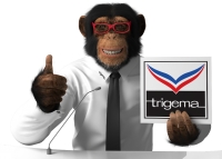 Making off des 3D Modells TRIGEMA Schimpanse